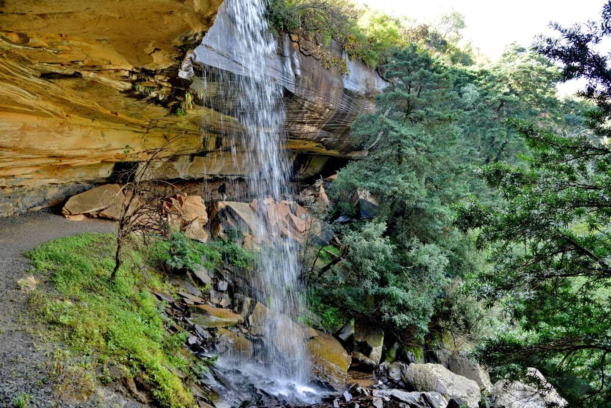 Bonjaneni Montusi Mountain Lodge מראה חיצוני תמונה